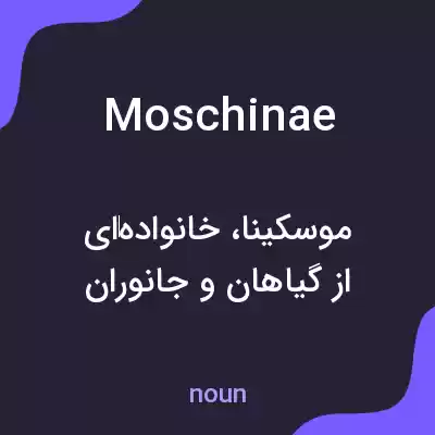 معنی moschinae به فارسی معنی moschinae به فارسی