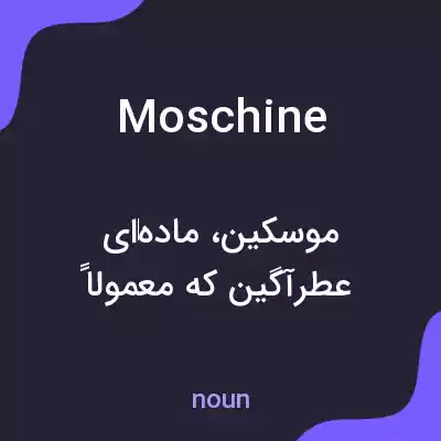 معنی moschine به فارسی معنی moschine به فارسی