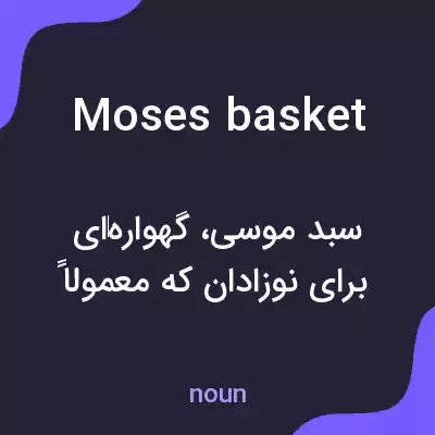 معنی moses basket به فارسی معنی moses basket به فارسی