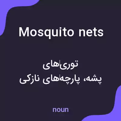 معنی mosquito nets به فارسی معنی mosquito nets به فارسی