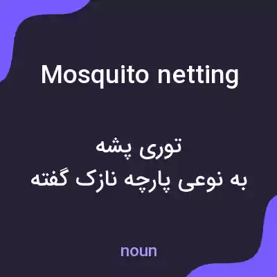 معنی mosquito netting به فارسی معنی mosquito netting به فارسی