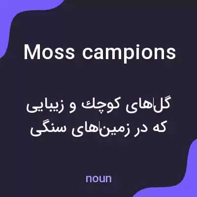 معنی moss campions به فارسی معنی moss campions به فارسی