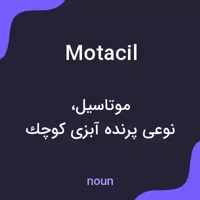معنی motacil به فارسی معنی motacil به فارسی