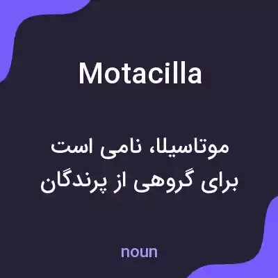 معنی motacilla به فارسی معنی motacilla به فارسی
