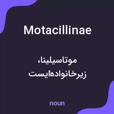 معنی motacillinae به فارسی معنی motacillinae به فارسی