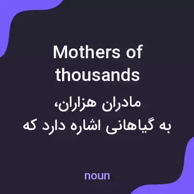 معنی mothers of thousands به فارسی معنی mothers of thousands به فارسی