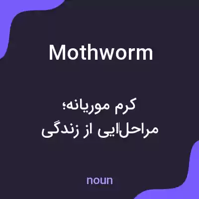 معنی mothworm به فارسی معنی mothworm به فارسی