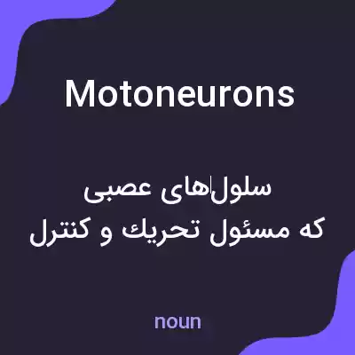 معنی motoneurons به فارسی معنی motoneurons به فارسی
