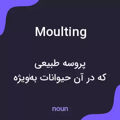 معنی moulting به فارسی معنی moulting به فارسی