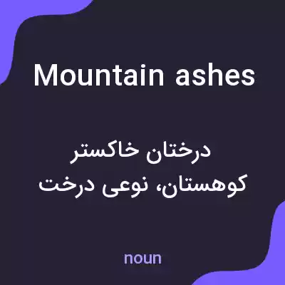 معنی mountain ashes به فارسی معنی mountain ashes به فارسی