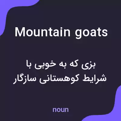 معنی mountain goats به فارسی معنی mountain goats به فارسی