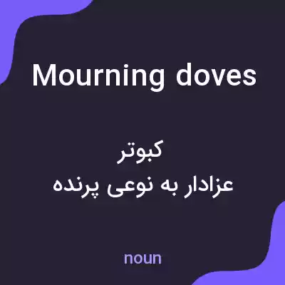معنی mourning doves به فارسی معنی mourning doves به فارسی