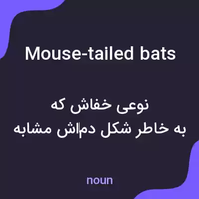 معنی mouse-tailed bats به فارسی معنی mouse-tailed bats به فارسی