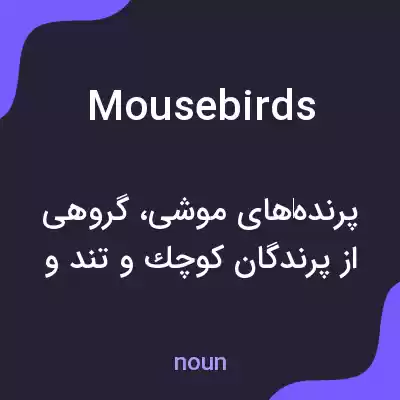 معنی mousebirds به فارسی معنی mousebirds به فارسی