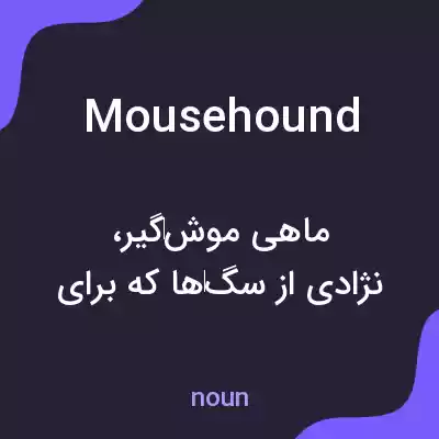 معنی mousehound به فارسی