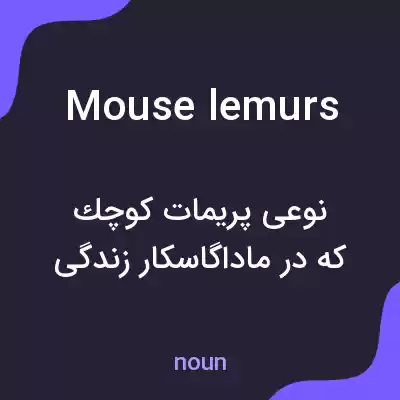معنی mouse lemurs به فارسی معنی mouse lemurs به فارسی