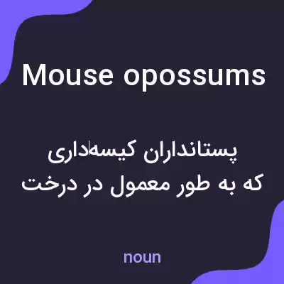 معنی mouse opossums به فارسی معنی mouse opossums به فارسی