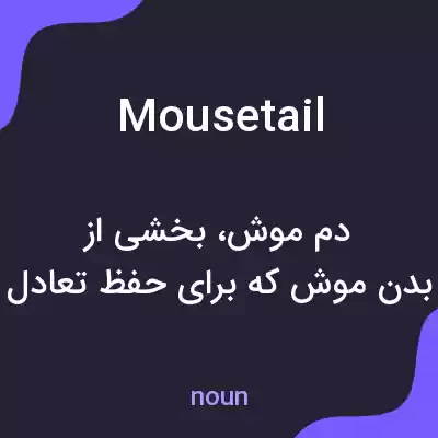 معنی mousetail به فارسی معنی mousetail به فارسی