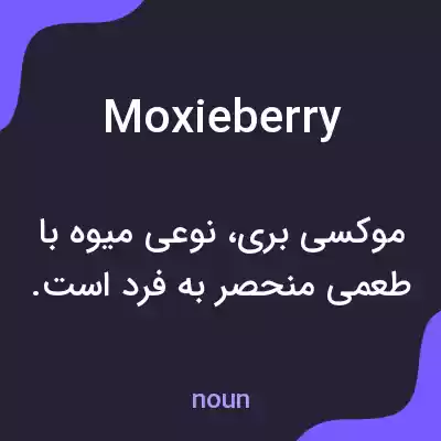 معنی moxieberry به فارسی