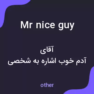 معنی mr nice guy به فارسی معنی mr nice guy به فارسی