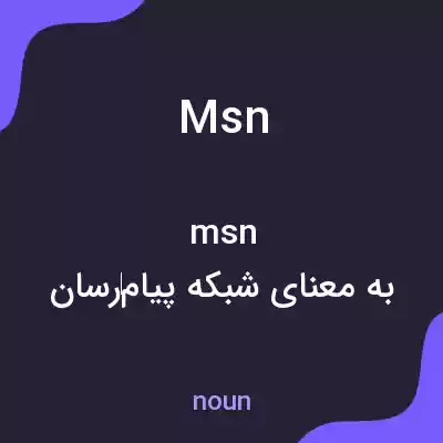 معنی msn به فارسی