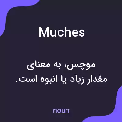 معنی muches به فارسی معنی muches به فارسی