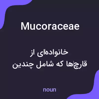 معنی mucoraceae به فارسی معنی mucoraceae به فارسی