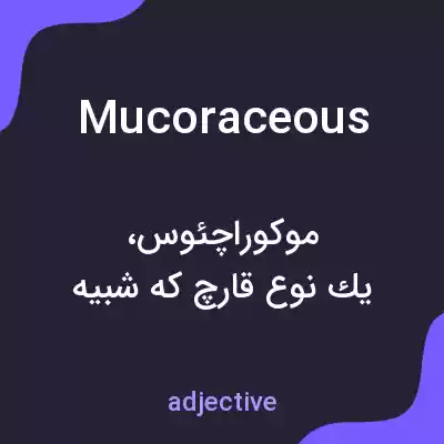 معنی mucoraceous به فارسی معنی mucoraceous به فارسی