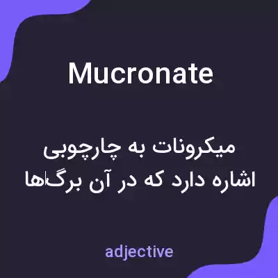 معنی mucronate به فارسی معنی mucronate به فارسی