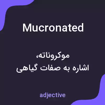 معنی mucronated به فارسی معنی mucronated به فارسی