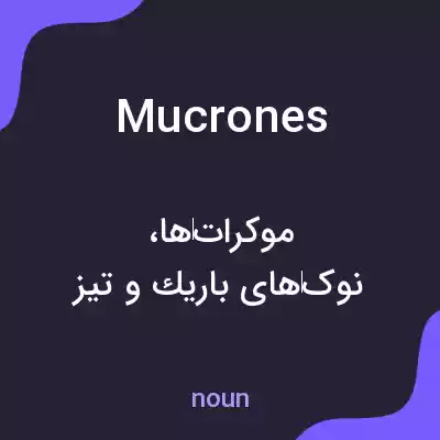 معنی mucrones به فارسی معنی mucrones به فارسی