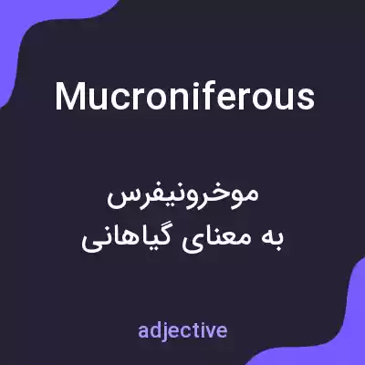 معنی mucroniferous به فارسی معنی mucroniferous به فارسی
