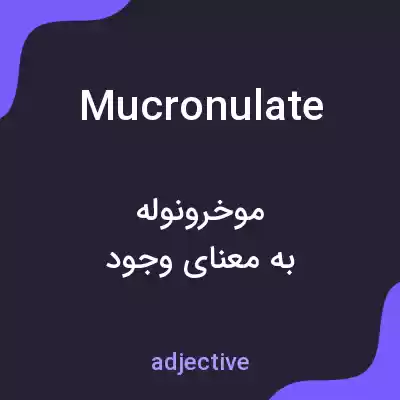 معنی mucronulate به فارسی معنی mucronulate به فارسی