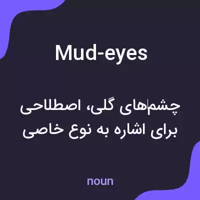 معنی mud-eyes به فارسی معنی mud-eyes به فارسی