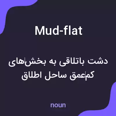 معنی mud-flat به فارسی معنی mud-flat به فارسی