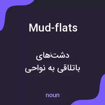 معنی mud-flats به فارسی معنی mud-flats به فارسی