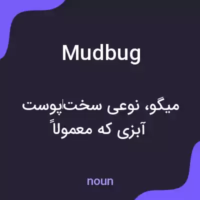 معنی mudbug به فارسی معنی mudbug به فارسی
