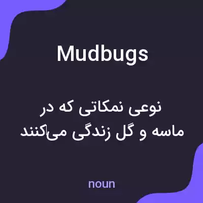 معنی mudbugs به فارسی معنی mudbugs به فارسی
