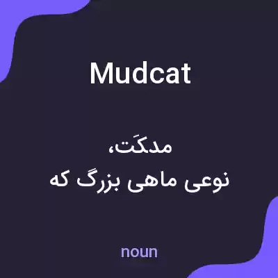معنی mudcat به فارسی معنی mudcat به فارسی