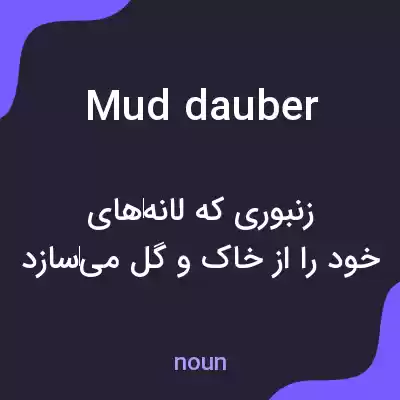 معنی mud dauber به فارسی معنی mud dauber به فارسی