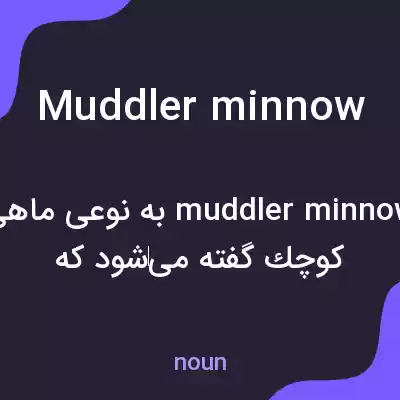 معنی muddler minnow به فارسی معنی muddler minnow به فارسی