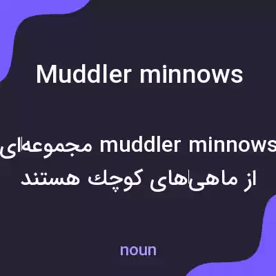 معنی muddler minnows به فارسی معنی muddler minnows به فارسی