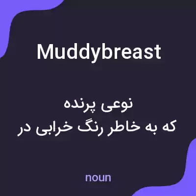 معنی muddybreast به فارسی معنی muddybreast به فارسی