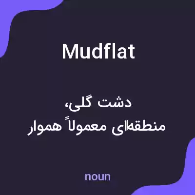معنی mudflat به فارسی معنی mudflat به فارسی