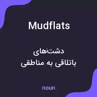 معنی mudflats به فارسی معنی mudflats به فارسی