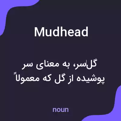 معنی mudhead به فارسی معنی mudhead به فارسی