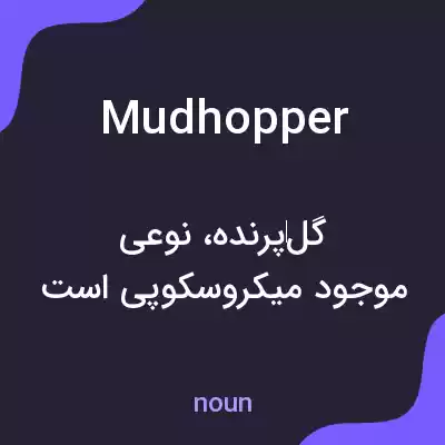 معنی mudhopper به فارسی معنی mudhopper به فارسی
