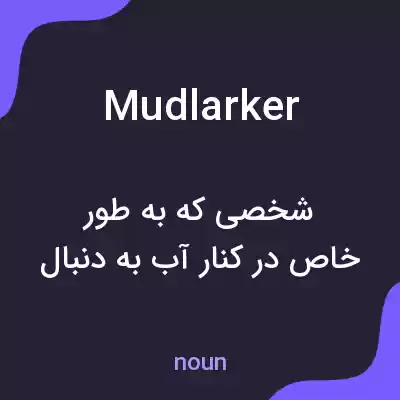 معنی mudlarker به فارسی معنی mudlarker به فارسی