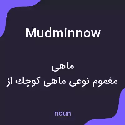 معنی mudminnow به فارسی معنی mudminnow به فارسی