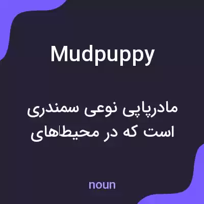 معنی mud puppy به فارسی معنی mud puppy به فارسی